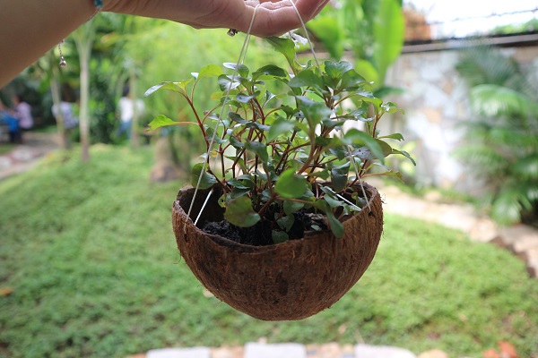 inner-spa-inner-space-su-kien-tuoi-tre-khong-gian-tuoi-mat-tam-hon-7