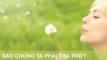 sao-chung-ta-phai-tha-thu-blog-innerspace