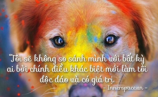 the-gia-tri-innerspace-so-sanh