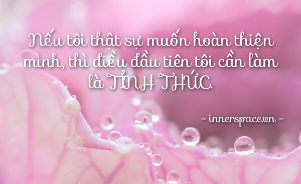 the-gia-tri-innerspace-tinh-thuc
