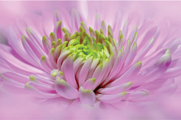 tam tri khong the tha thu-01