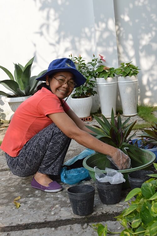 làm xanh sạch không gian